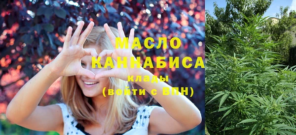 индика Наволоки