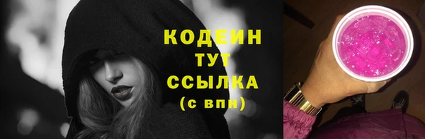 шишки Абаза