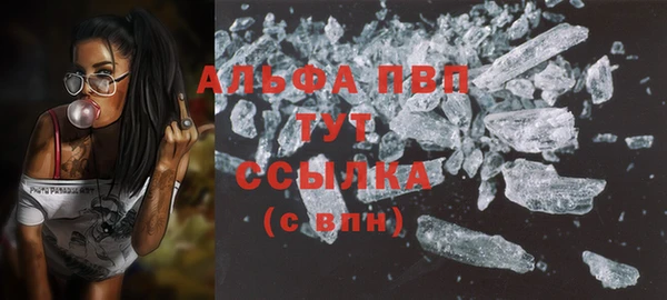 индика Наволоки