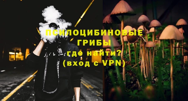 дурь Надым