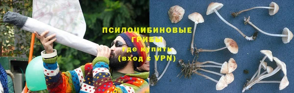 индика Наволоки