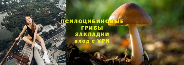 дурь Надым