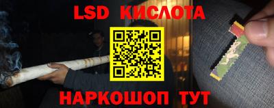 прущие грибы Балаково