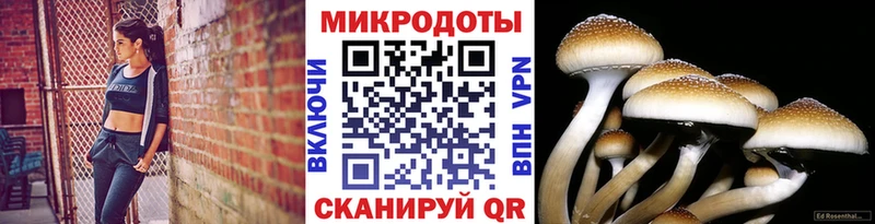 kraken маркетплейс  Волгоград  Галлюциногенные грибы Magic Shrooms  цена  