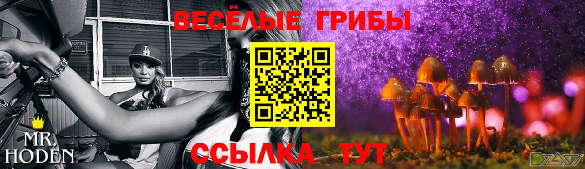 Галлюциногенные грибы мицелий  Волгоград 